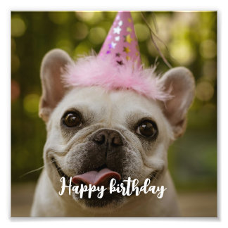  Personalised pet dog birthday  Photo Print