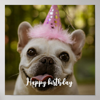  Personalised pet dog birthday  Poster