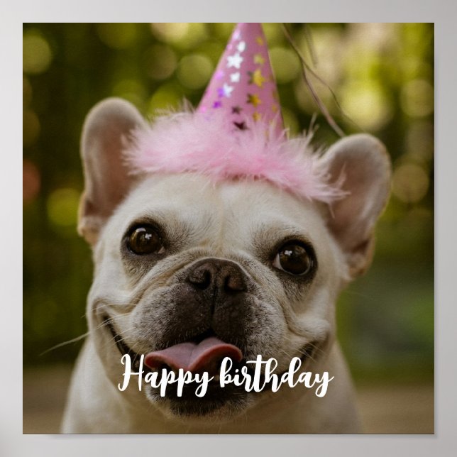  Personalised pet dog birthday  Poster (Front)