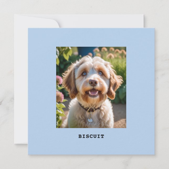 Personalised Pet Dog Cat Photo Name Greetings Card (Front)