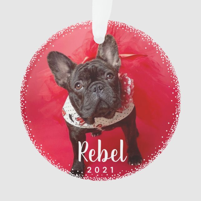 Personalised Pet Dog Holiday Photo Typography Ornament (Front)
