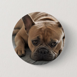 Personalised Pet Dog Photo 6 Cm Round Badge