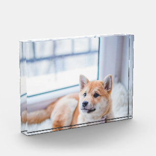 Personalised Pet Dog Photo Block