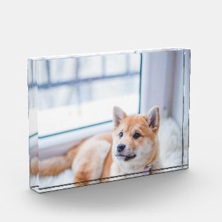 Personalised Pet Dog Photo Block