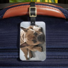 Personalised Pet Dog Photo