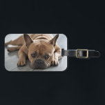 Personalised Pet Dog Photo Luggage Tag<br><div class="desc">Personalised Pet Dog Photo Luggage Tag</div>