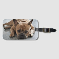 Personalised Pet Dog Photo
