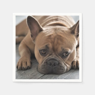 Personalised Pet Dog Photo Napkin