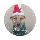 Personalised Pet Dog Puppy Holiday Photo