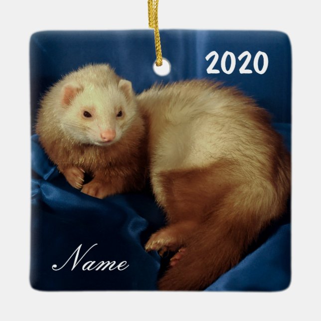 Personalised Pet Ferret Ceramic Ornament (Front)