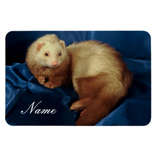 Personalised Pet Ferret Magnet