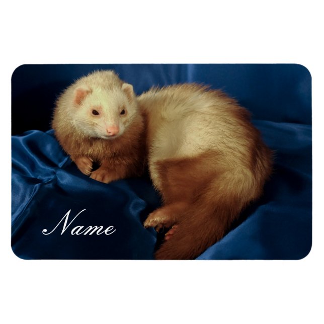 Personalised Pet Ferret Magnet (Horizontal)