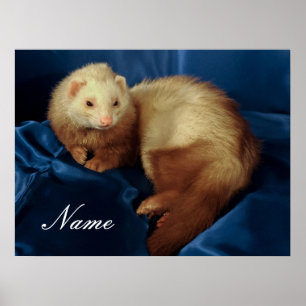 Personalised Pet Ferret Poster