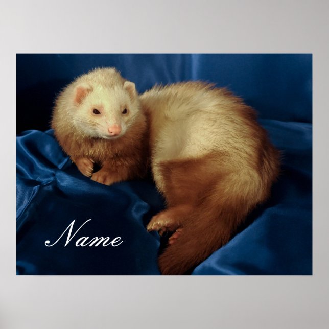 Personalised Pet Ferret Poster (Front)
