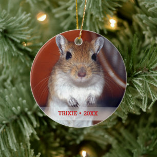 Personalised Pet Gerbil Photo Name Christmas Tree Ceramic Tree Decoration