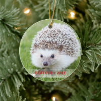 Personalised Pet Hedgehog Photo Christmas Tree