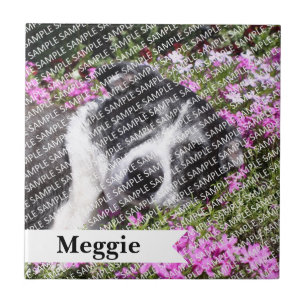 Personalised Pet Loss Keepsake (Add Frame or Box) Ceramic Tile