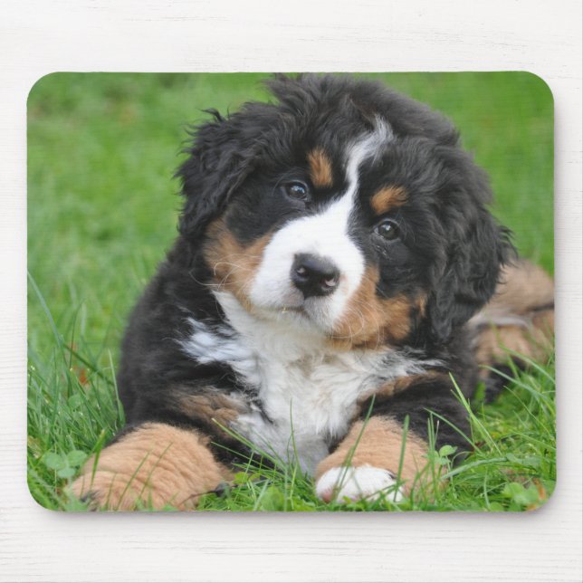 Personalised Pet Lover Dog Photo Mouse Pad (Front)