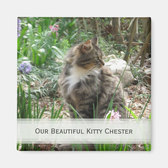 Personalised Pet Magnets: Add Your Picture Magnet (Front)