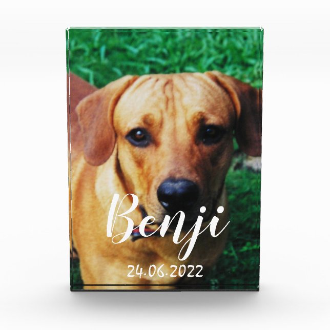 Personalised Pet Memorial Acrylic Photo Block (Front)