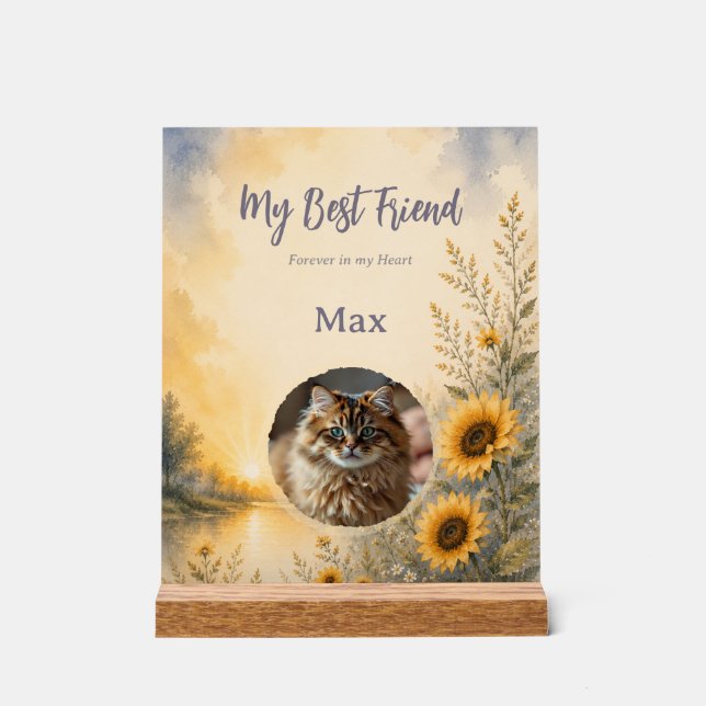 Personalised Pet Memorial Acrylic Plaque Sign (Front)