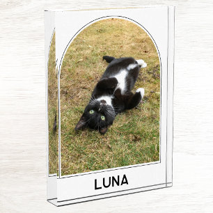 Personalised Pet Name Modern Arch Photo Block