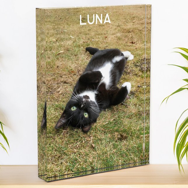 Personalised Pet Name Modern Photo Block (Modern photo personalized custom name photo block for family or pet pictures)
