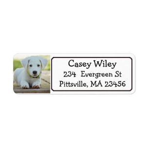 Personalised Pet or  Dog Address Label Return Address Label