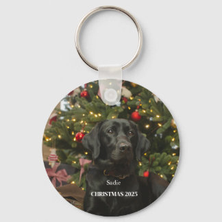 Personalised Pet Ornament Key Ring