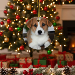 “Personalised Pet Ornament – Photo & Name”