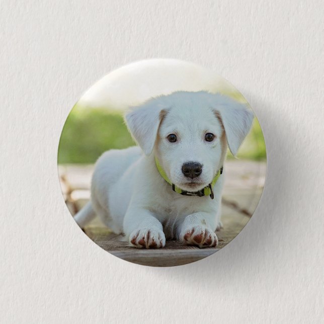 Personalised Pet Photo  3 Cm Round Badge (Front)