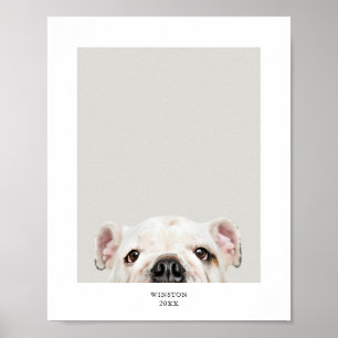 Personalised Pet Photo and Name Print