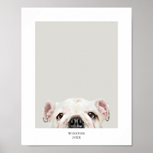 Personalised Pet Photo and Name Print (Front)