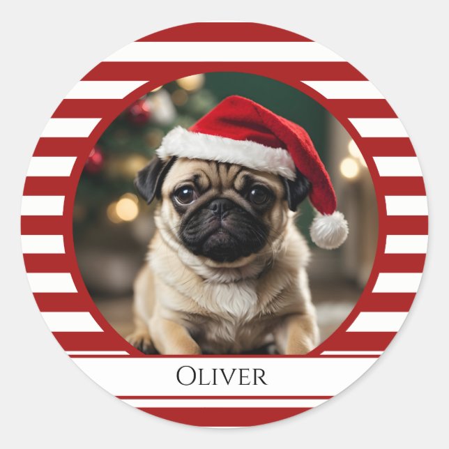 Personalised Pet Photo Candy Cane Red Stripes Classic Round Sticker (Front)
