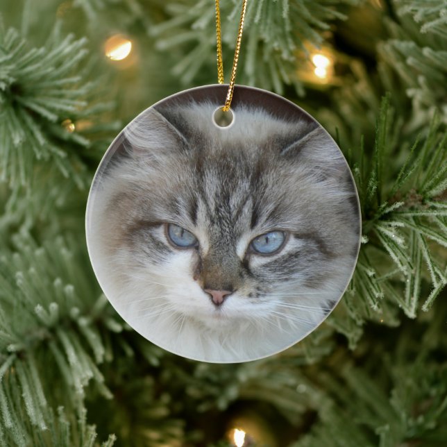 Personalised Pet Photo Cats and Catnip Silhouette Ceramic Ornament (Tree)