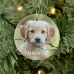Personalised Pet Photo Christmas Ceramic Ornament<br><div class="desc">Personalised pet photo and name Christmas Tree Ornament.</div>