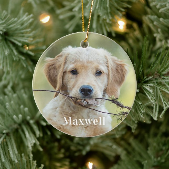 Personalised Pet Photo Christmas Ceramic Ornament (Tree)