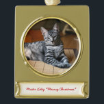Personalised Pet Photo Christmas Ornaments<br><div class="desc">Personalised pet photo ornaments. Create your own personalised ornament with photo and text banner.  Photo by Becky Nimoy. Sterling Silver plated also available.  Click "customise it" to scale,  recolor or change font</div>