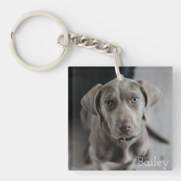 Personalised Pet Photo Dog Lover Keepsake Key Ring