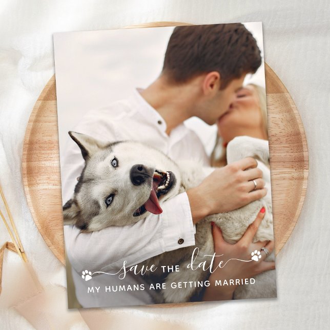 Personalised Pet Photo Dog Wedding Save The Date Announcement Postcard (Creator Uploaded)