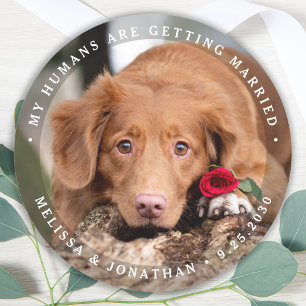 Personalised Pet Photo Engagement Dog Wedding  Classic Round Sticker