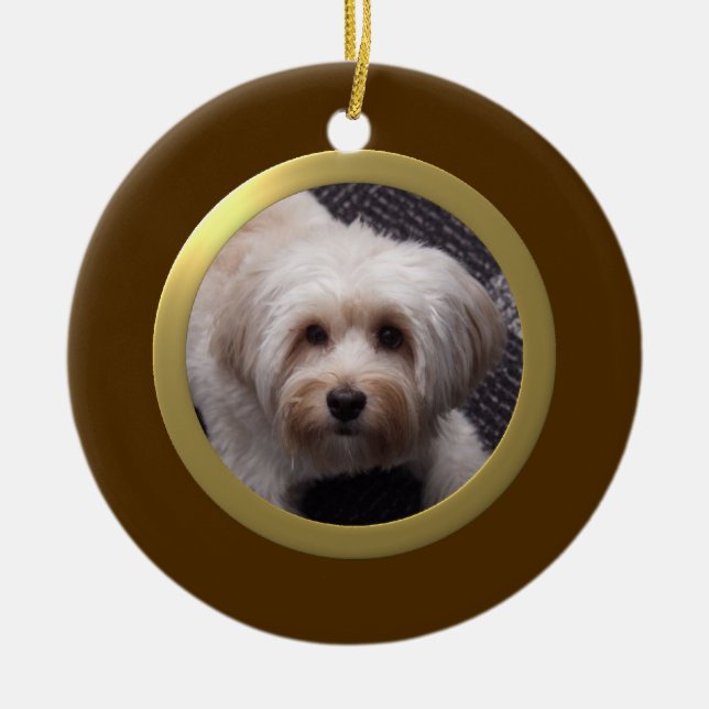 Personalised Pet Photo Frame (Brown/Gold) Ceramic Ornament (Front)
