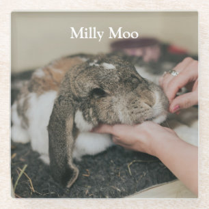  Personalised Pet Photo  Glass Coaster