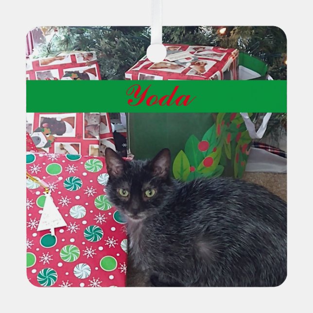 Personalised Pet Photo Green Red Simple Metal Tree Decoration (Front)