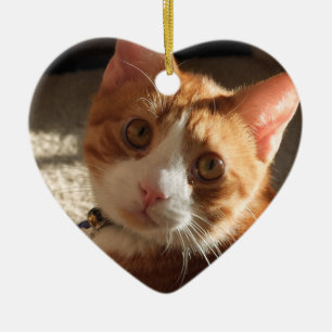 Personalised Pet Photo Heart Ornament