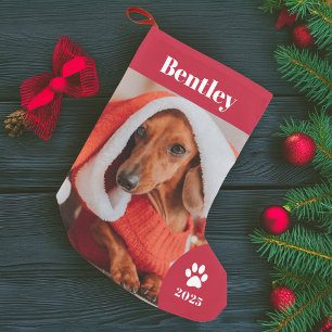 Personalised Pet Photo Holiday Small Christmas Stocking
