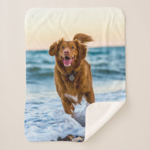 Personalised Pet Photo Keepsakes Gift Idea Sherpa Blanket