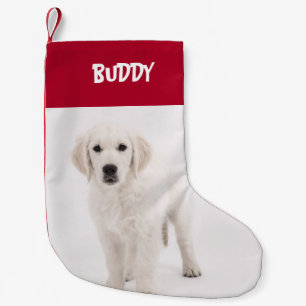 Personalised Pet Photo & Name Red Small Christmas Stocking