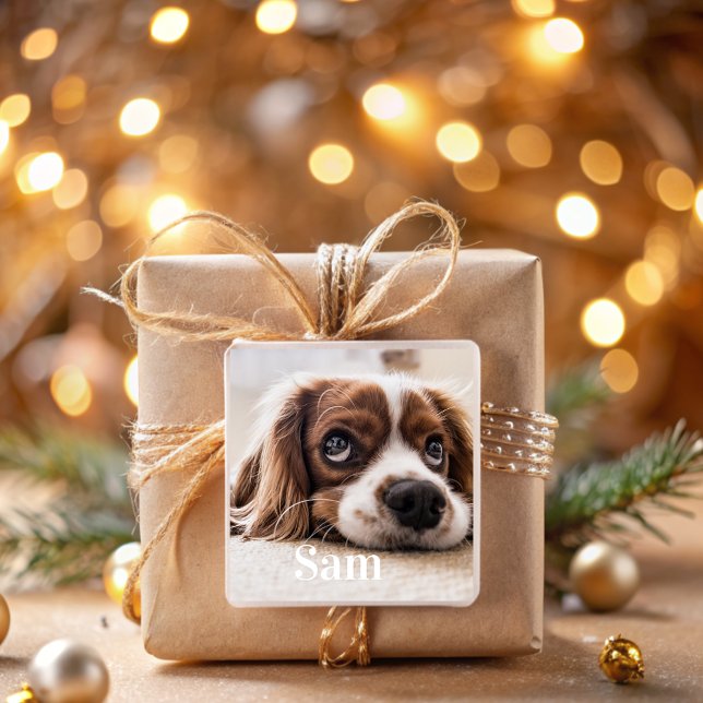Personalised pet photo name Square Sticker (Creator Uploaded)