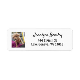 Personalised Pet Photo Return Address Label